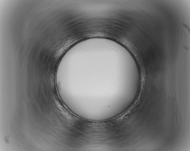 X0000100480345200806130737