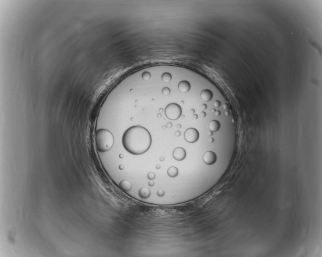 X0000100480346200806130737