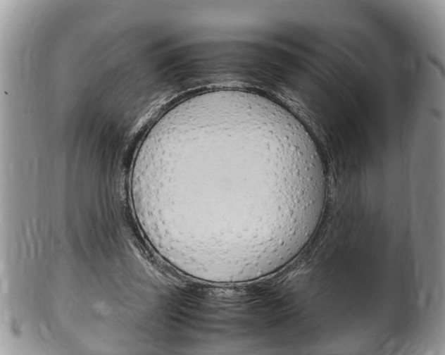 X0000100480347200806130737