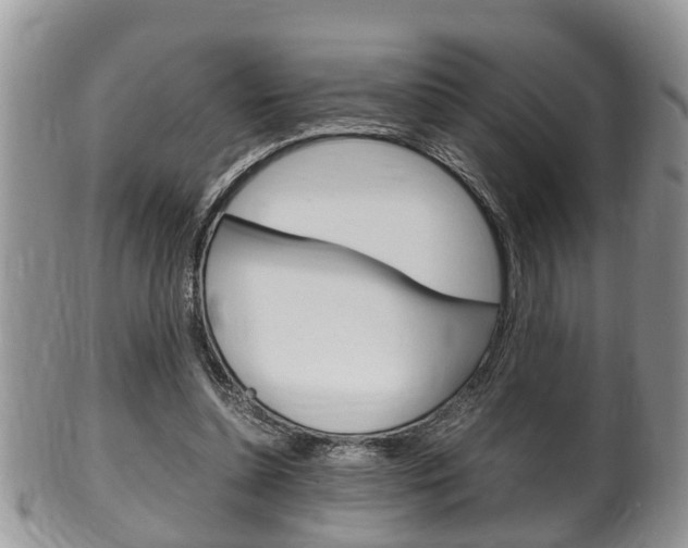 X0000100480348200806130737