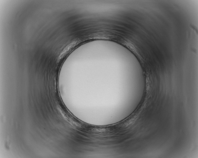 X0000100480349200806130737