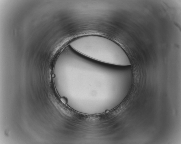 X0000100480350200806130737