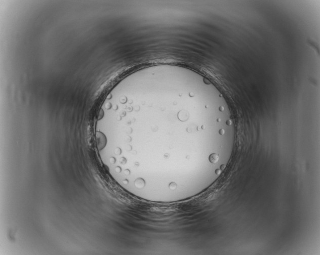 X0000100480351200806130737
