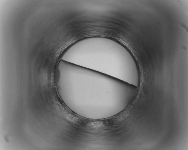 X0000100480353200806130737