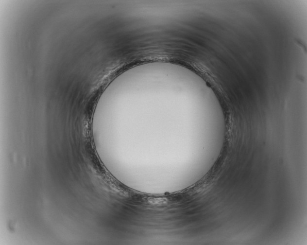 X0000100480355200806130737