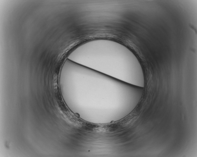 X0000100480356200806130737