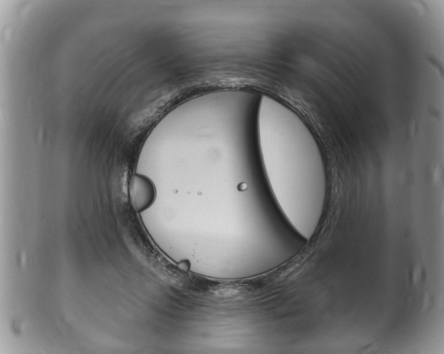 X0000100480358200806130737