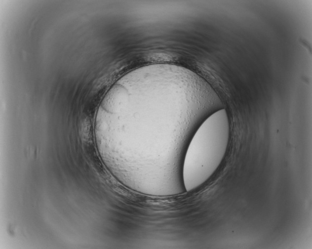 X0000100480359200806130737