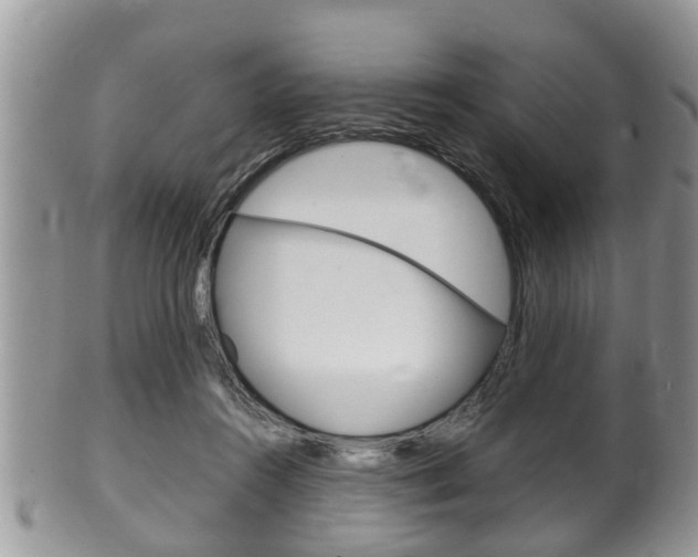 X0000100480360200806130737