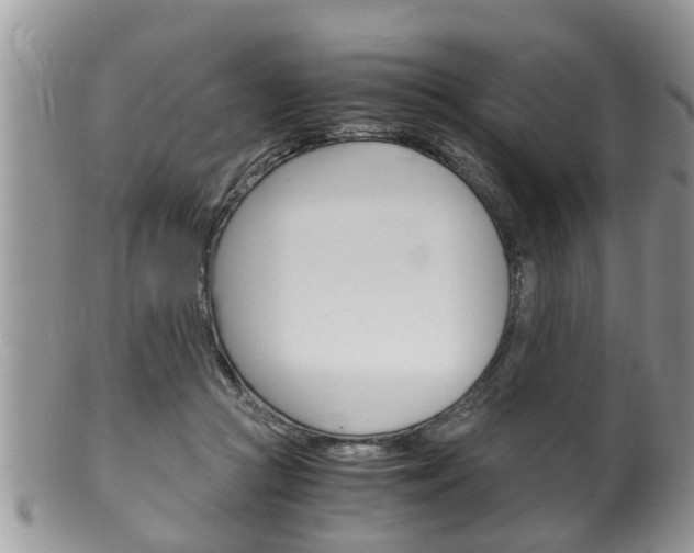 X0000100480361200806130737