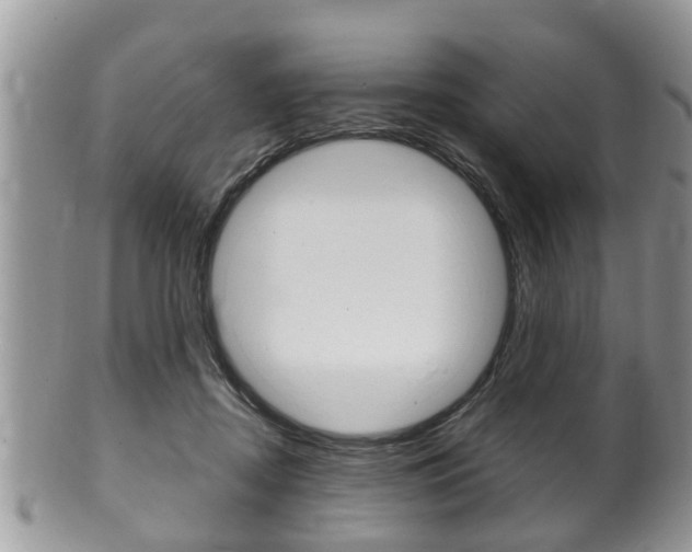 X0000100480362200806130737