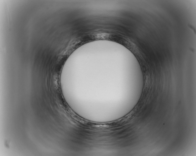 X0000100480363200806130737