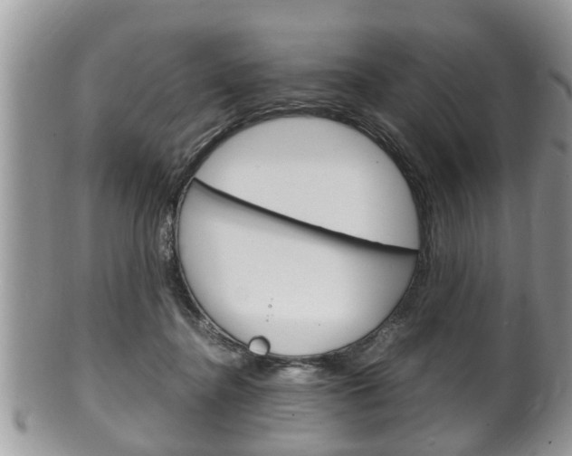X0000100480364200806130737
