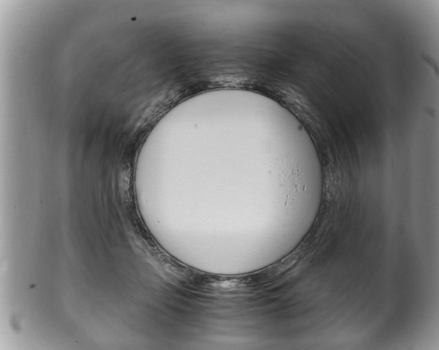 X0000100480365200806130737