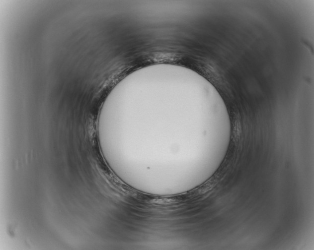 X0000100480367200806130737