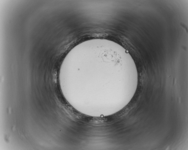 X0000100480368200806130737