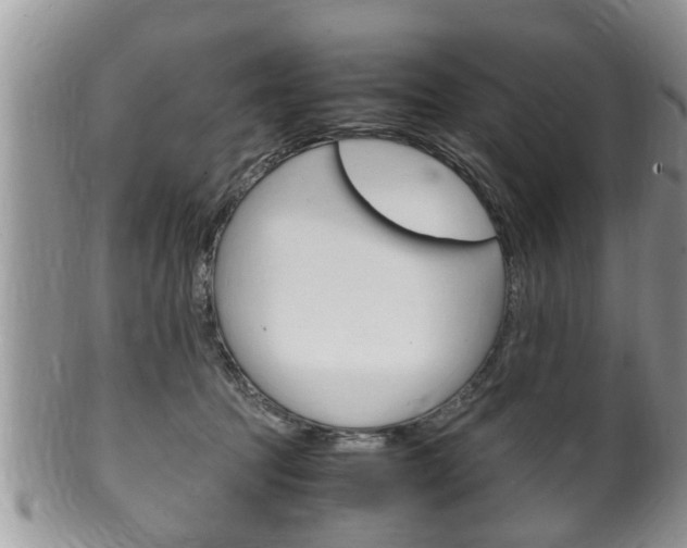 X0000100480369200806130737