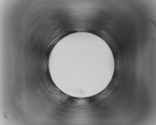 X0000100480370200806130738