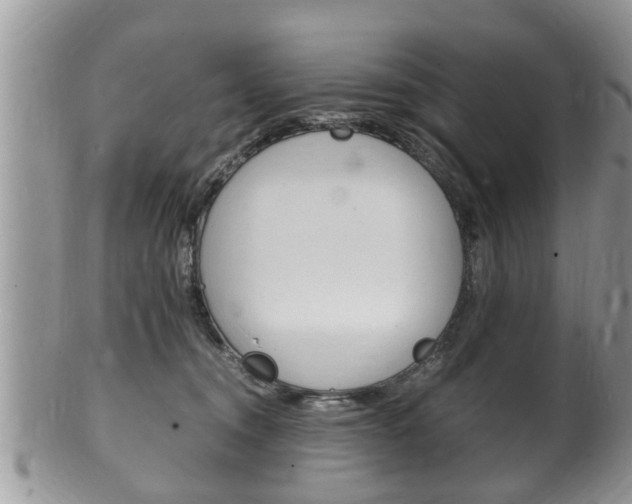X0000100480372200806130738
