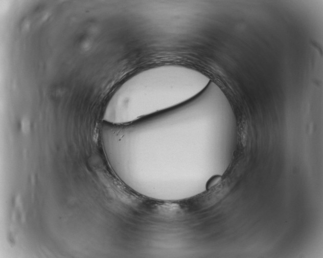 X0000100480374200806130738