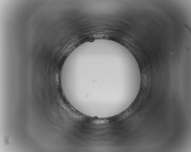 X0000100480375200806130738
