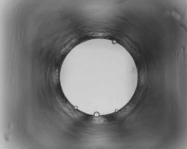 X0000100480376200806130738