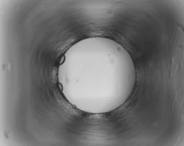 X0000100480378200806130738