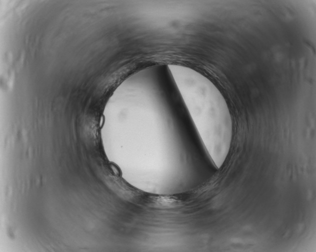 X0000100480380200806130738