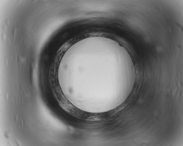 X0000100480381200806130738