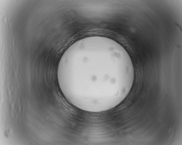 X0000100480382200806130738