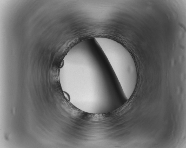 X0000100480384200806130738