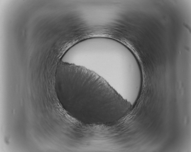 X0000100480385200806130737