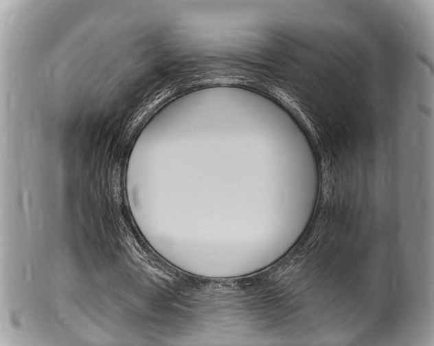 X0000100480386200806130737