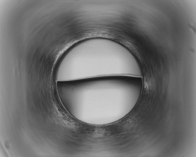 X0000100480388200806130737