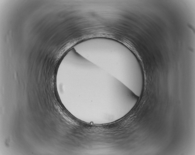 X0000100480389200806130737