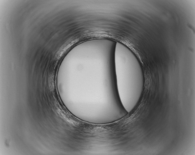 X0000100480390200806130737