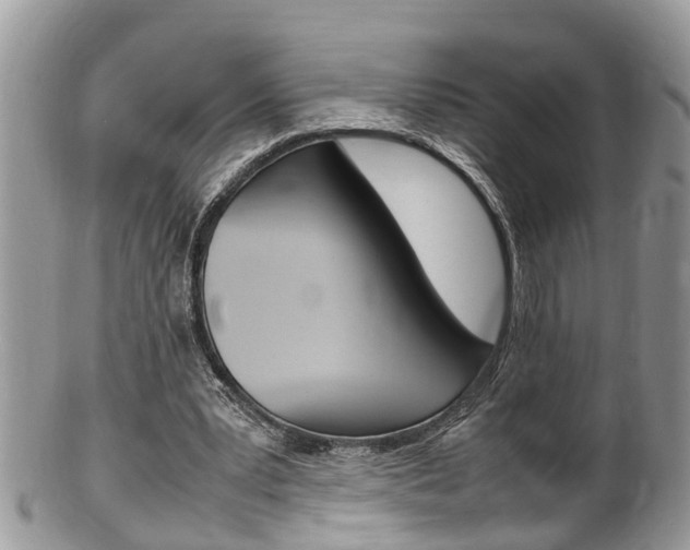 X0000100480391200806130737