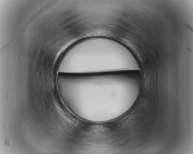 X0000100480392200806130737