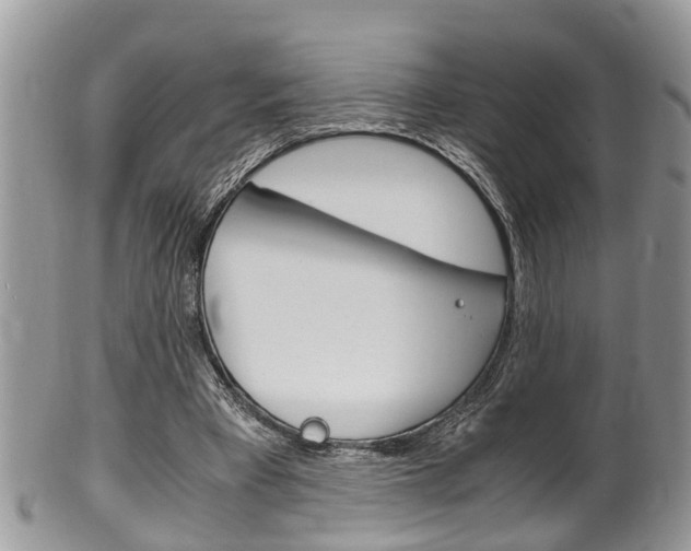 X0000100480393200806130737
