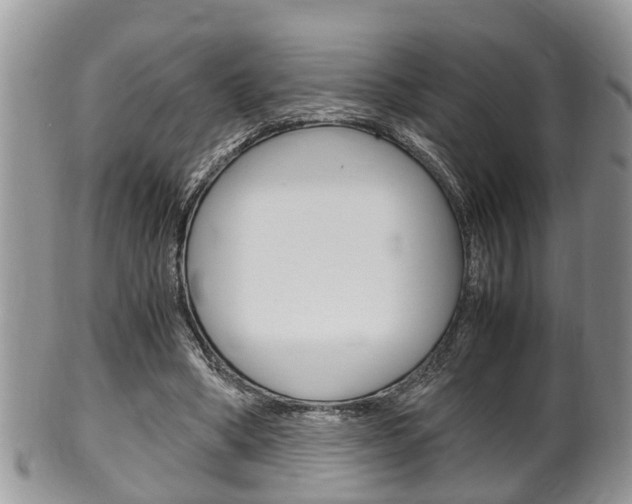 X0000100480394200806130737