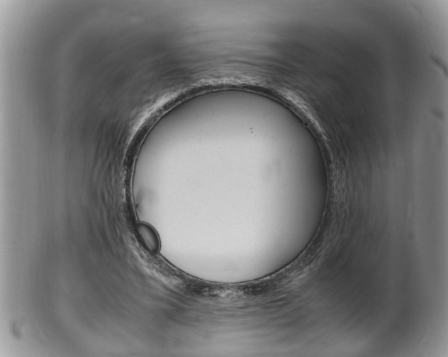 X0000100480395200806130737