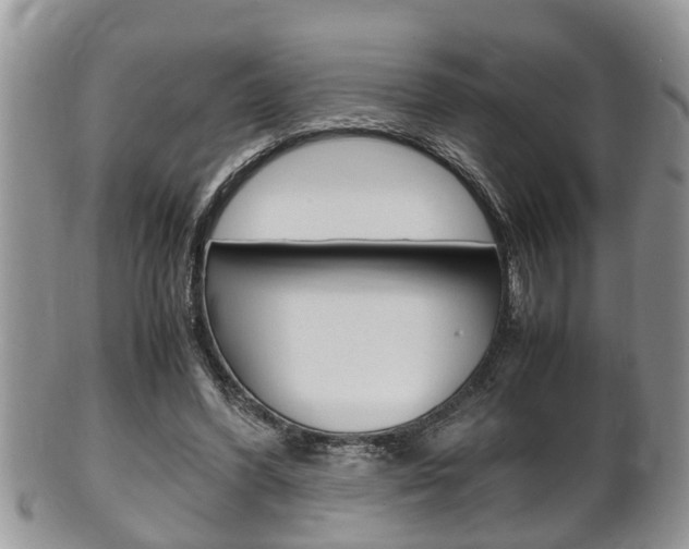 X0000100480396200806130737