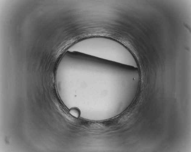 X0000100480397200806130737