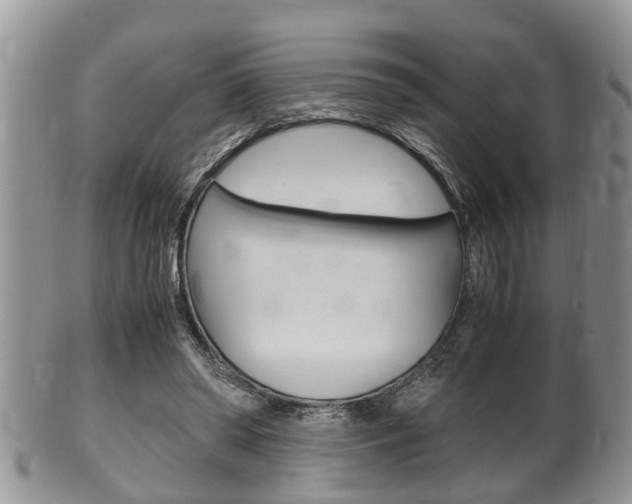 X0000100480398200806130737
