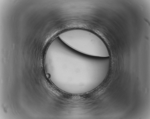X0000100480399200806130737