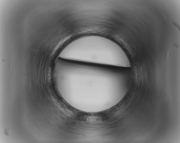 X0000100480400200806130737