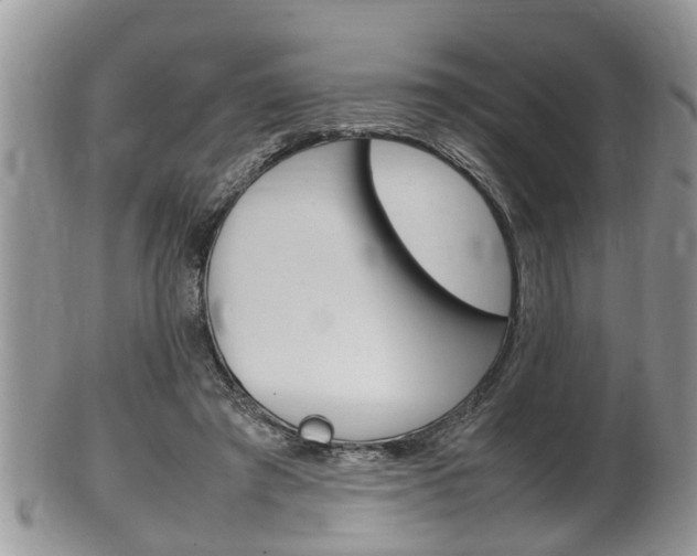 X0000100480401200806130737