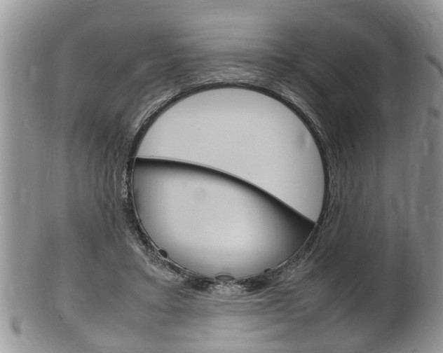 X0000100480403200806130737