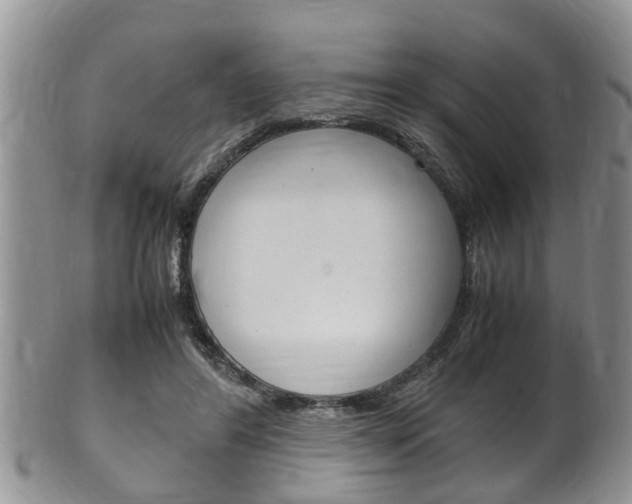 X0000100480404200806130737