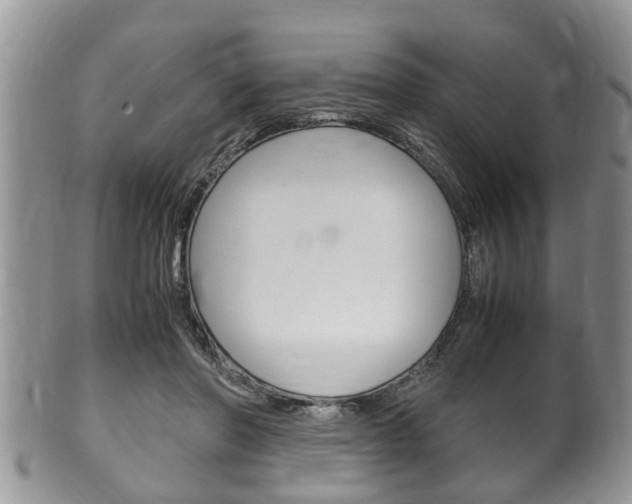 X0000100480406200806130737